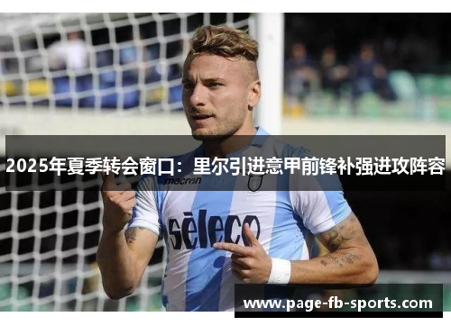 2025年夏季转会窗口：里尔引进意甲前锋补强进攻阵容